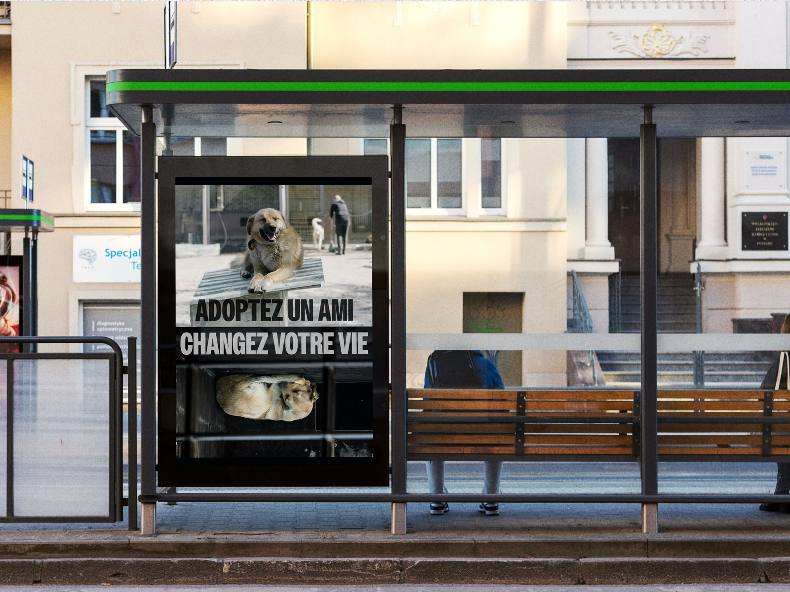 Animal shelter adoption ad in a bus shelter: a happy dog in the sun above, a dog curled up in the dark, upside down, below